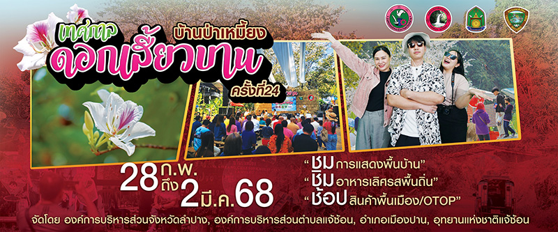 ที่เที่ยวเดือนมีนาคม 2568 เทศกาลดอกเสี้ยวบาน บ้านป่าเหมี้ยง อุทยานแห่งชาติแจ้ซ้อน จังหวัดลำปาง