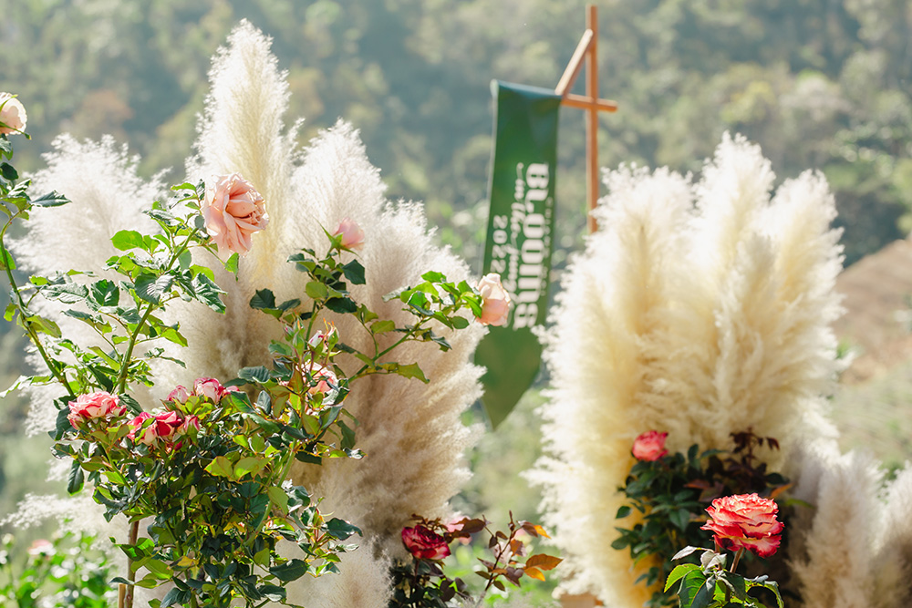 Chiang Mai Blooms 2022