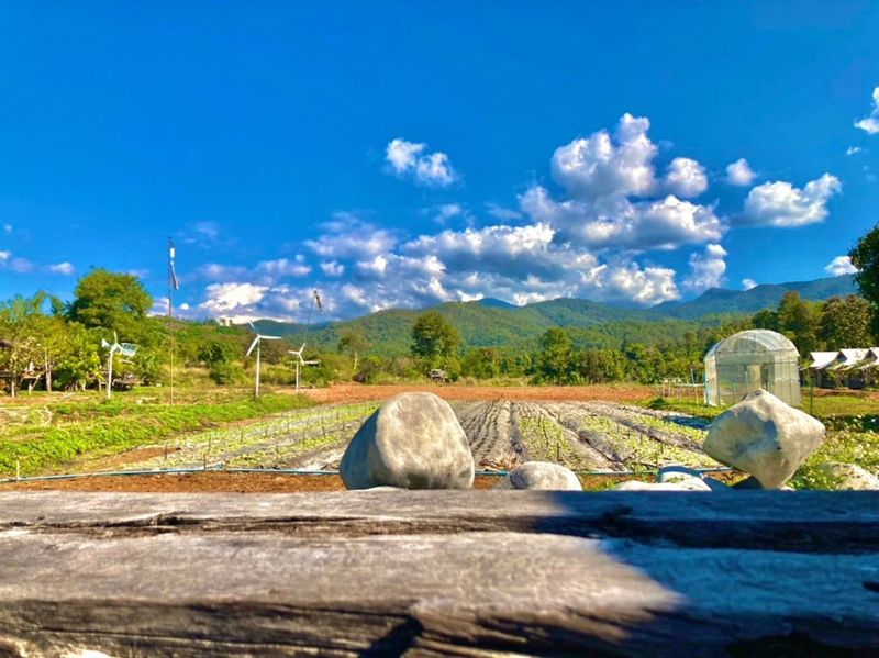 บัวขาว วิลเลจ วิว