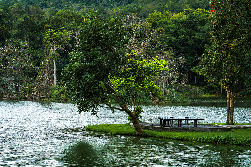อ่างแก้ว มช.
