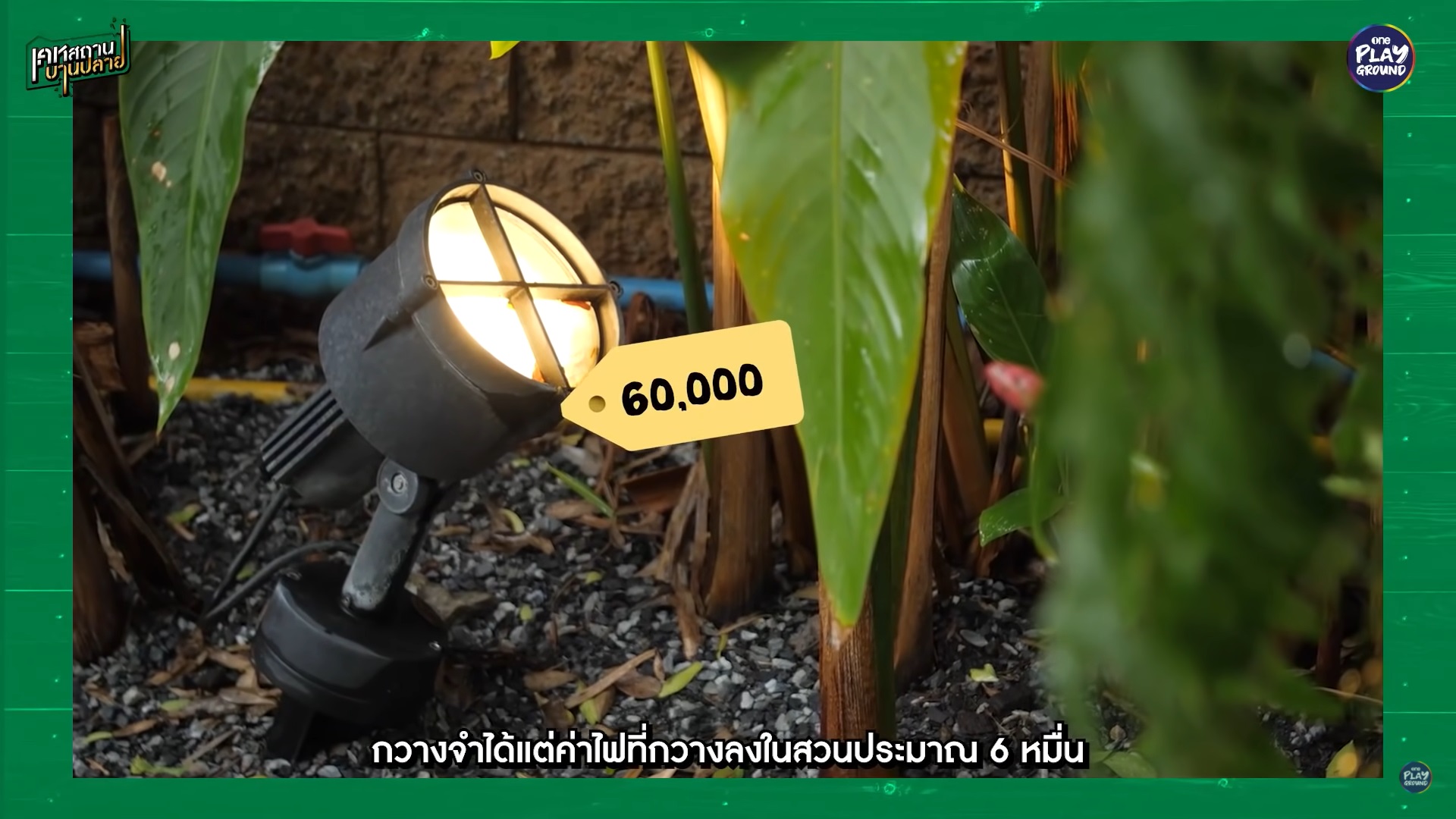 กวาง AB normal