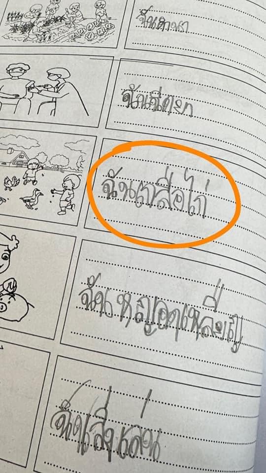 ตรวจข้อสอบ