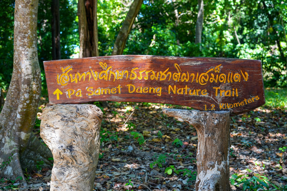 เกาะรอก ทะเลกระบี่