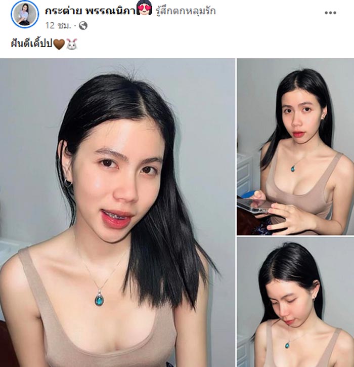 กระต่าย พรรณนิภา