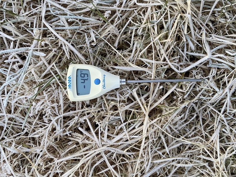 เหมยขาบ