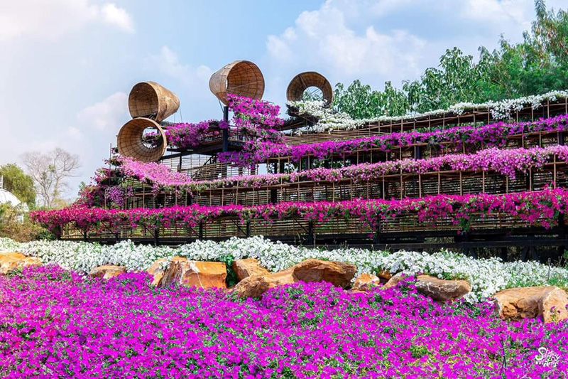 Flower Village Khaoyai จังหวัดนครราชสีมา