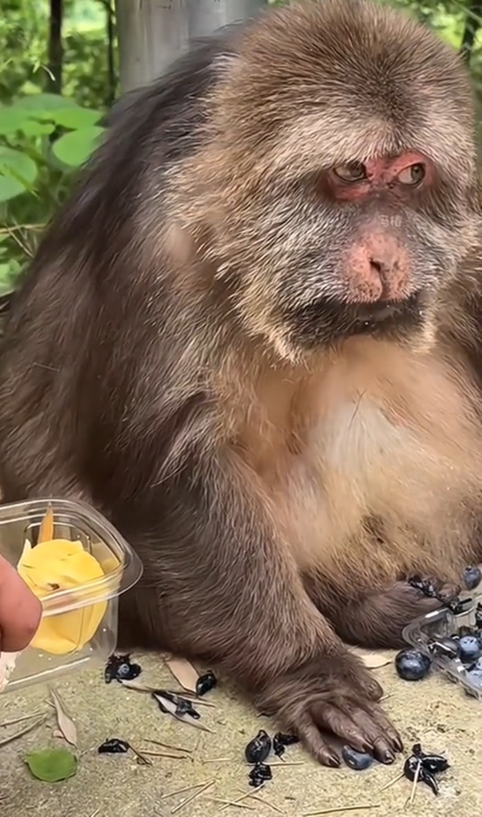 ทุเรียน