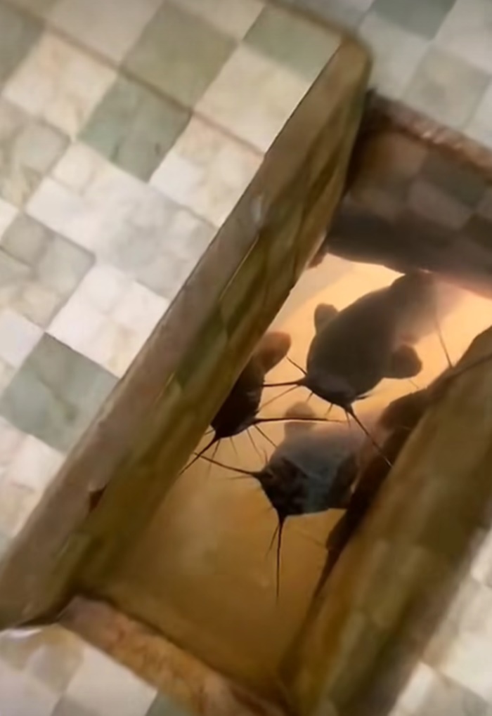 เข้าห้องน้ำ