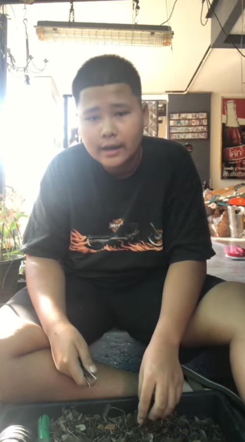 เฮอริเคน ชิงร้อย