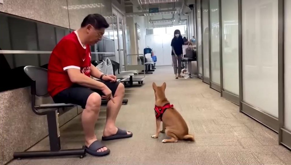  หมาของสรยุทธ