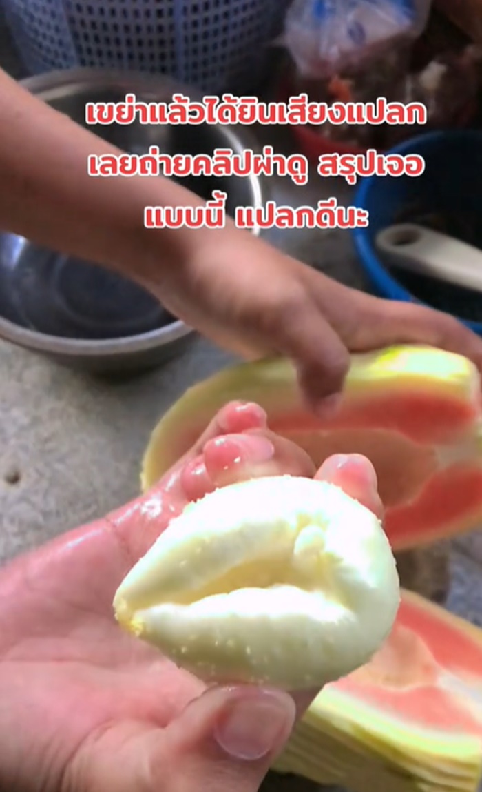 ผ่ามะละกอ