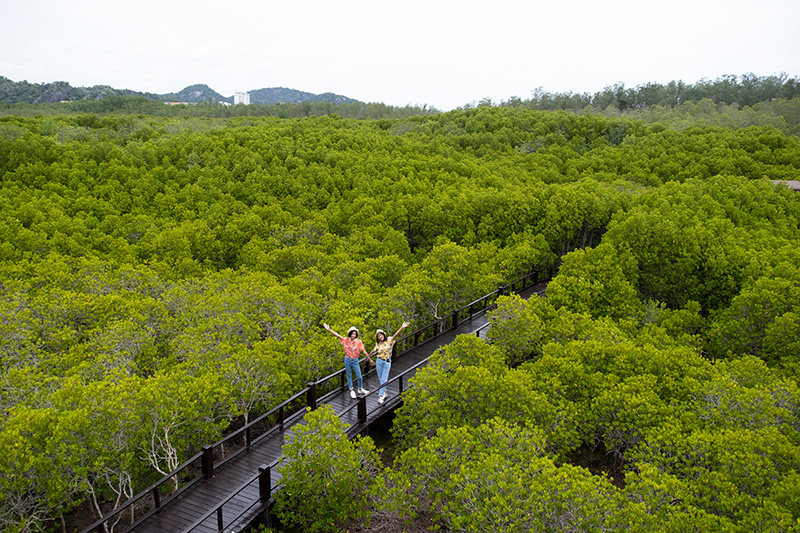ที่เที่ยววันแม่ วนอุทานปราณบุรี