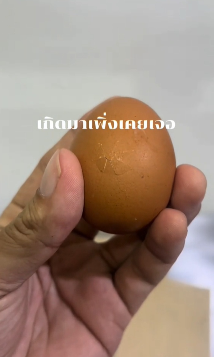 ไข่ไก่