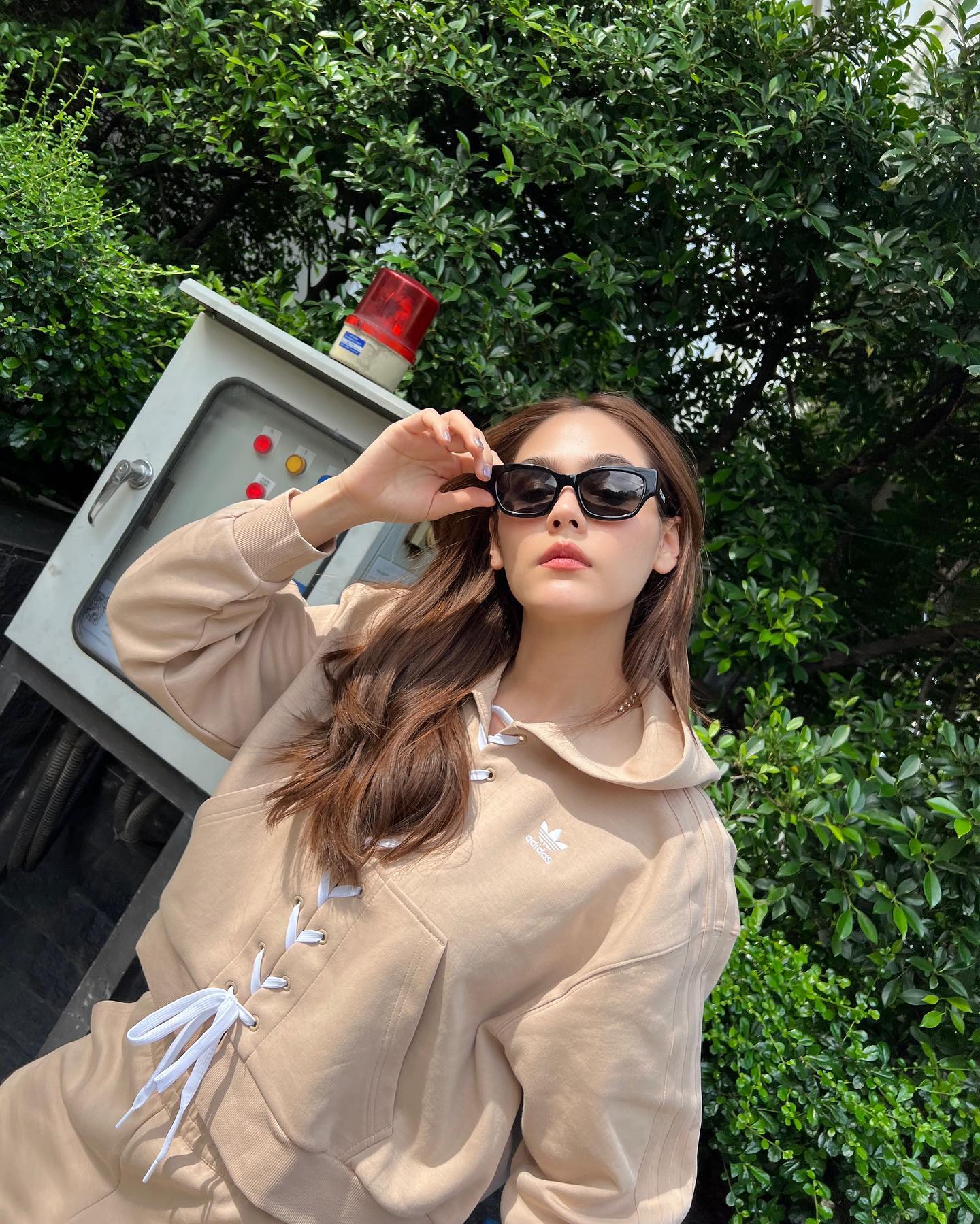 ชมพู่ อารยา