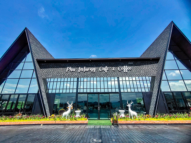 ร้านคาเฟ่ Google Trend