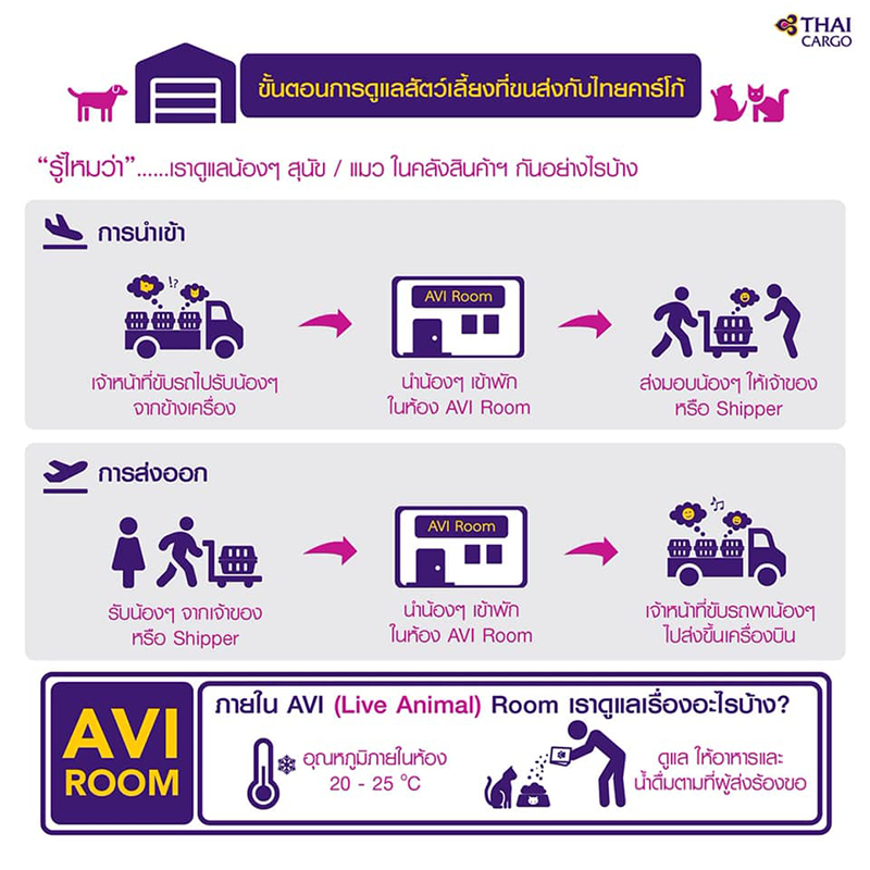 พาสัตว์เลี้ยงขึ้นเครื่องบิน สายการบินในประเทศ