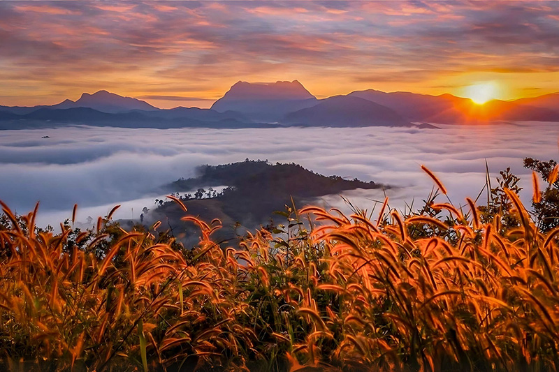 จุดชมวิวดอยหลวงเชียงดาว จุดชมวิวเด่นทีวี