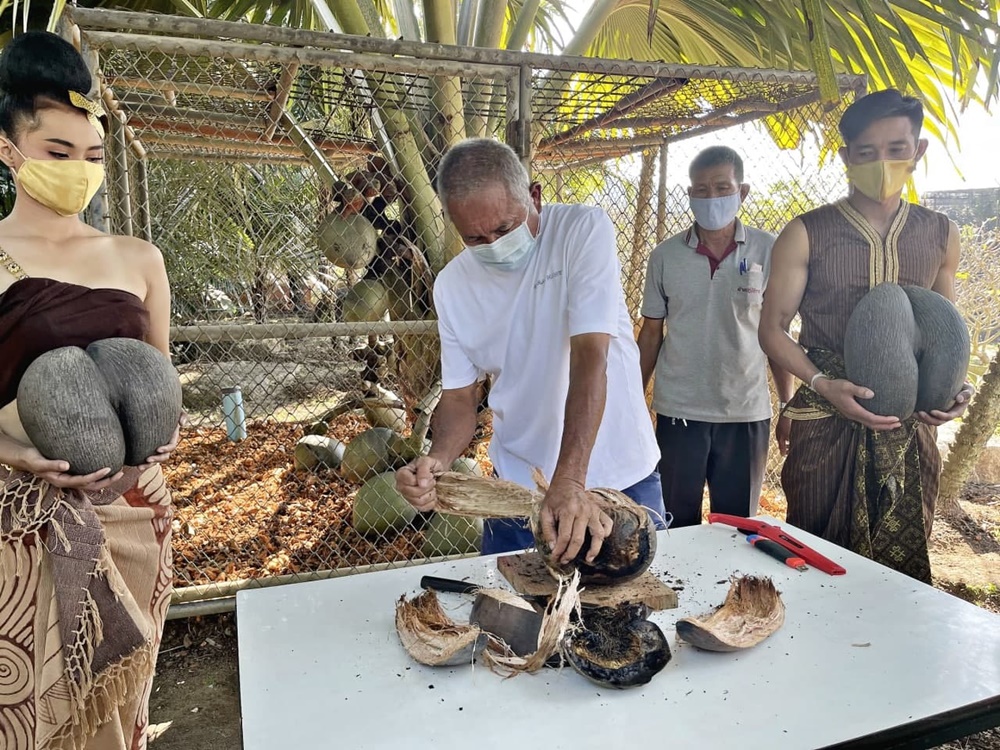 สวนนงนุช