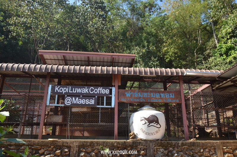 เที่ยวเชียงราย