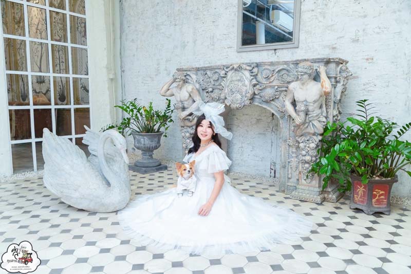 พาน้องหมาถ่ายรูป
