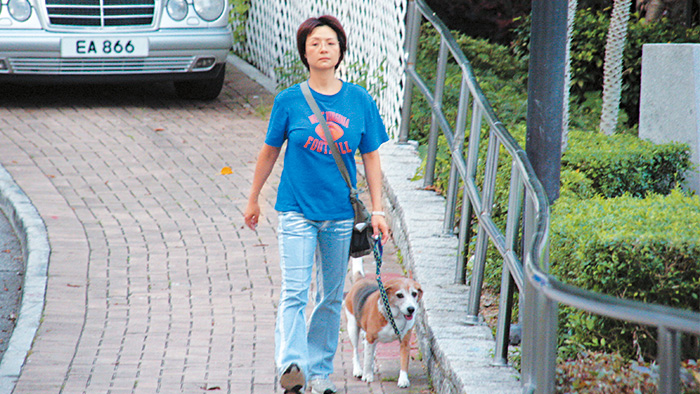 เยี่ยจื่อเหมย