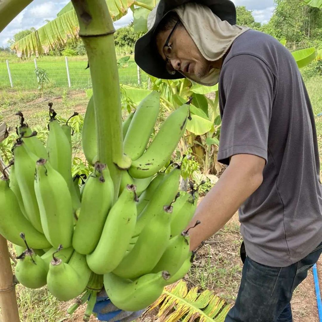 กิตติ สิงหาปัด