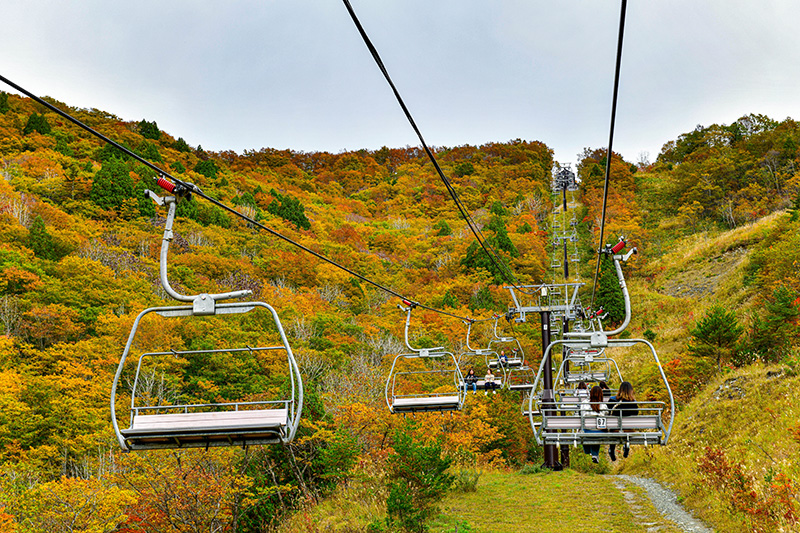 ฮาคุบะ (Hakuba) ญี่ปุ่น กระเช้าลอยฟ้า