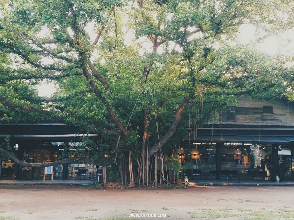 เที่ยวฝั่งธนบุรี