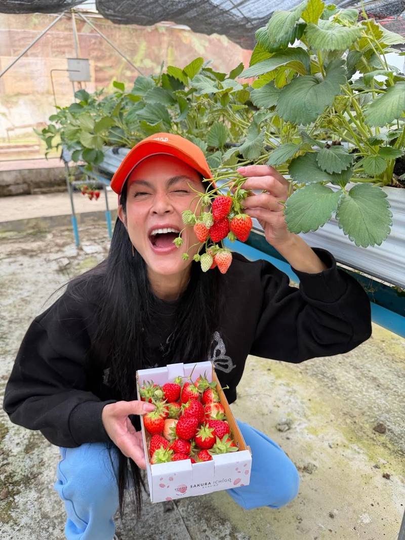 ปิ่น เก็จมณี