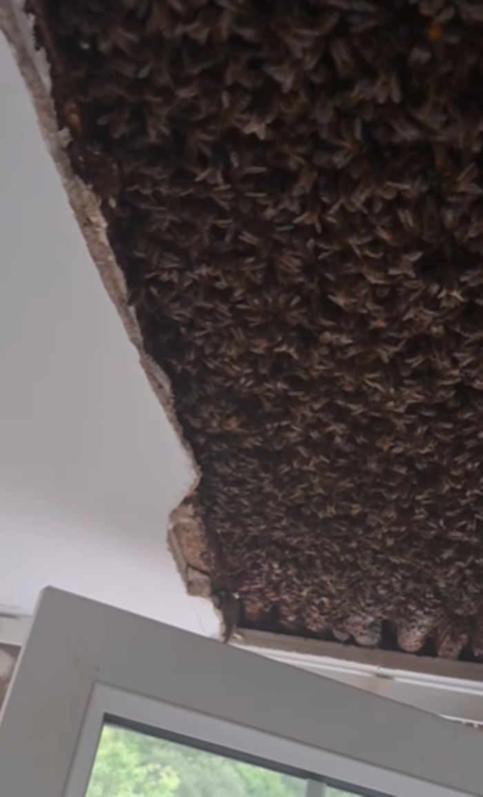 ห้องนอน