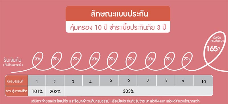 ประกัน Hero 10/3 Rabbit