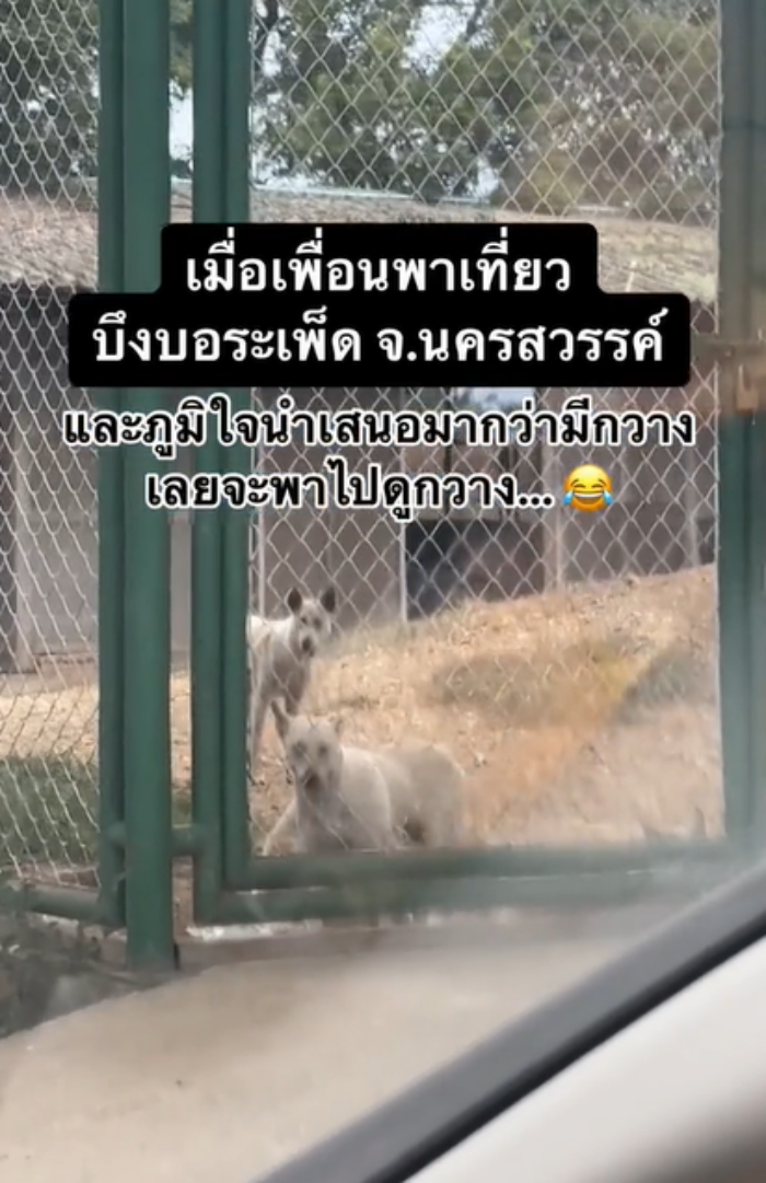 บึงบอระเพ็ด