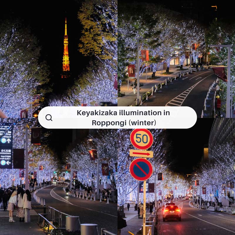 เที่ยวโตเกียว
