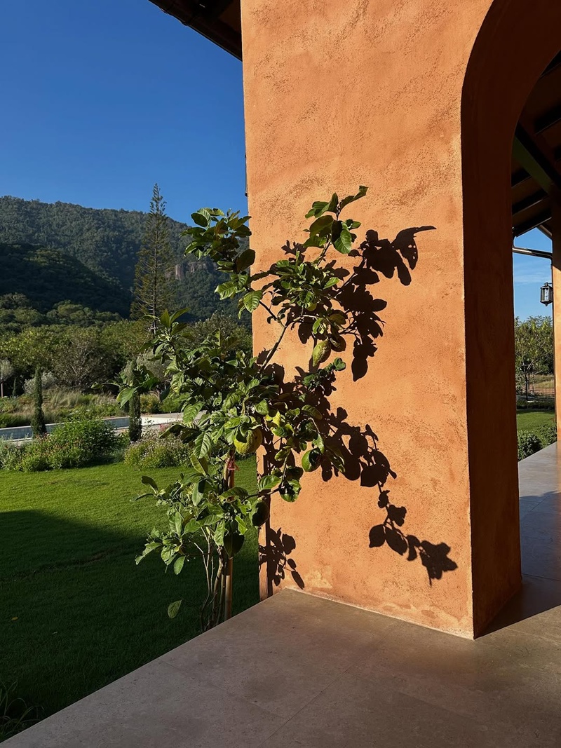 ญาญ่า อุรัสยา