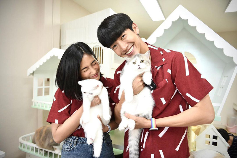 สัตว์เลี้ยงดารา