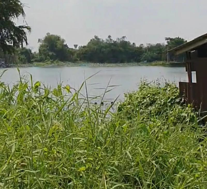 แน็ก ชาลี