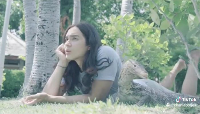 แน็ก ชาลี