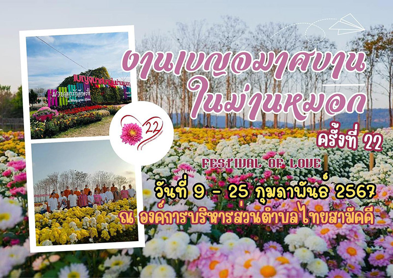 งานเบญจมาศบานในม่านหมอก จังหวัดนครราชสีมา