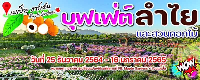 ที่เที่ยวเดือนมกราคม 65