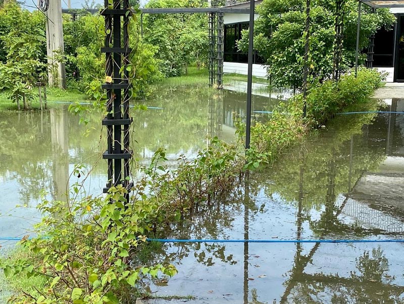 โรงเรียน นุ้ย สุจิรา ปอนด์ ชยพล