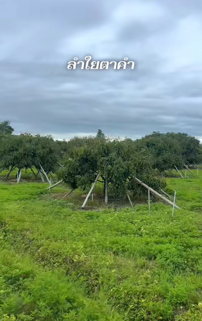 โก โกสินทร์