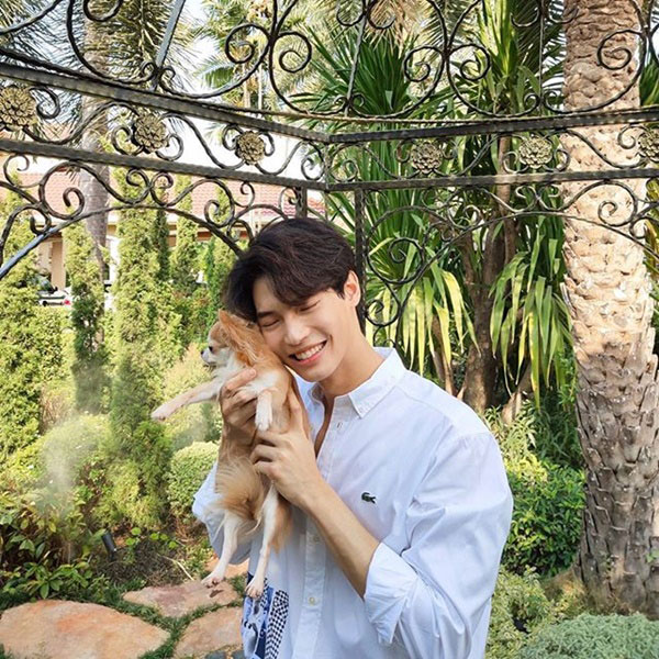 สัตว์เลี้ยงดารา