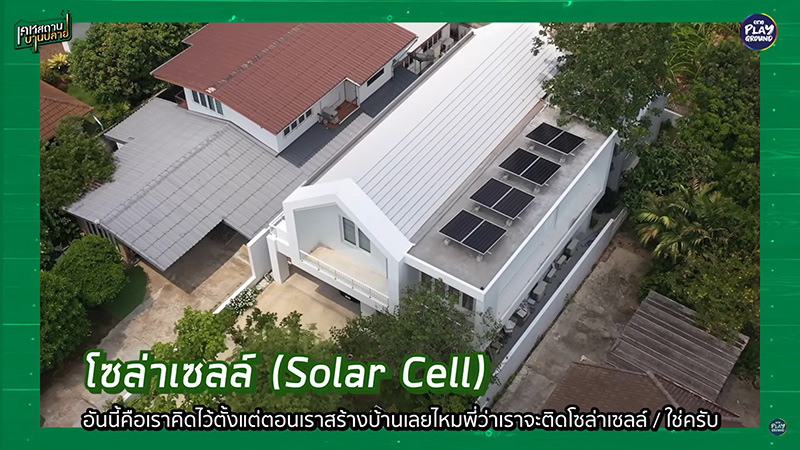 บ้านเอ็ดดี้ เสือร้องไห้