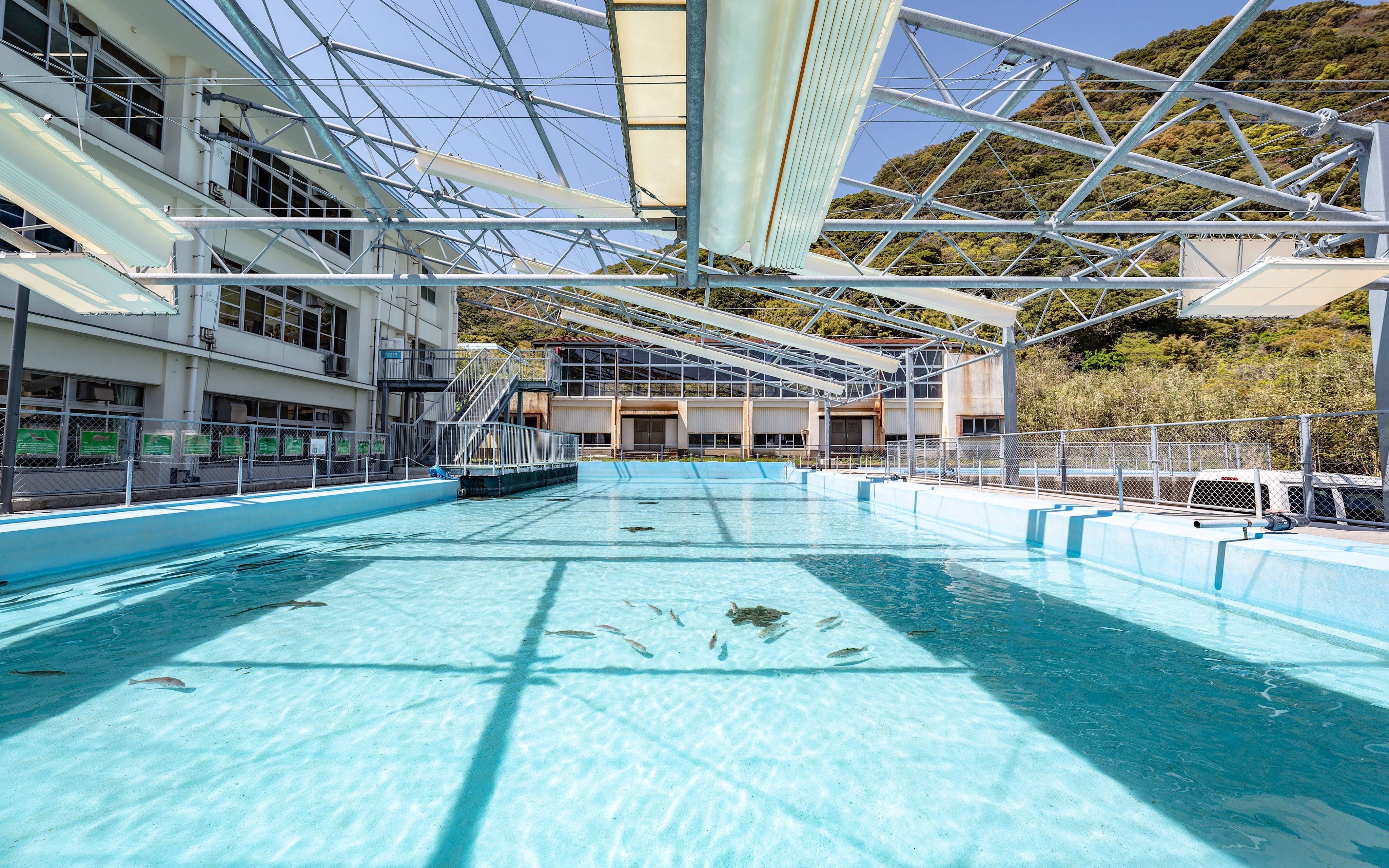 โรงเรียนร้าง