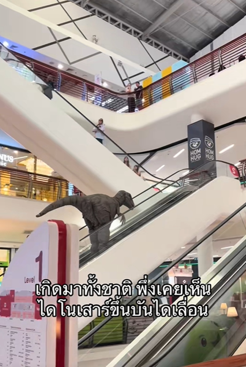 ไดโนเสาร์ขึ้นบันไดเลื่อน