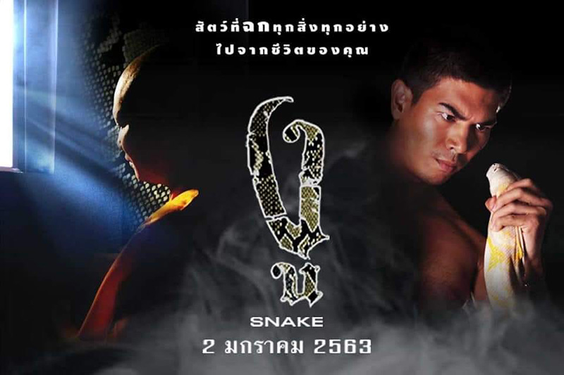 งู หนังพระ