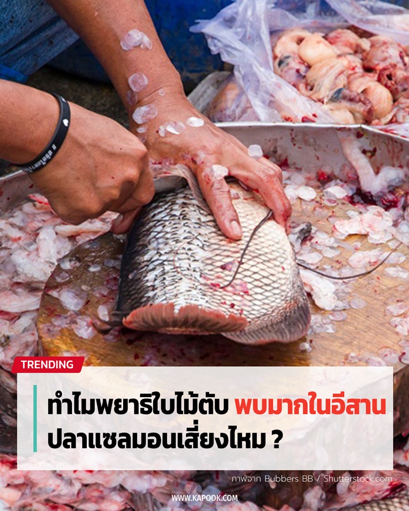 พยาธิใบไม้ตับ