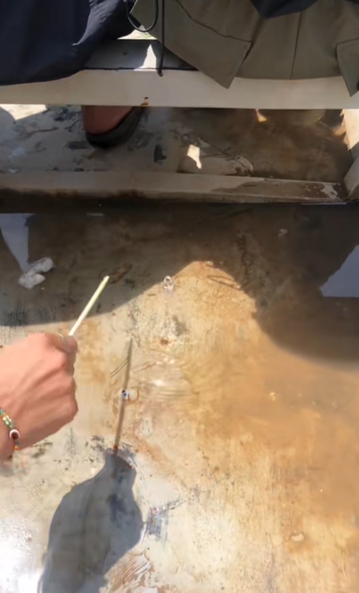 ตะเกียบ