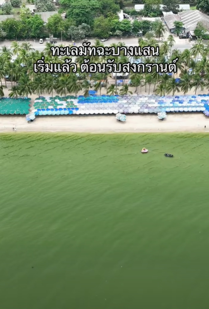 ทะเลชาเขียว