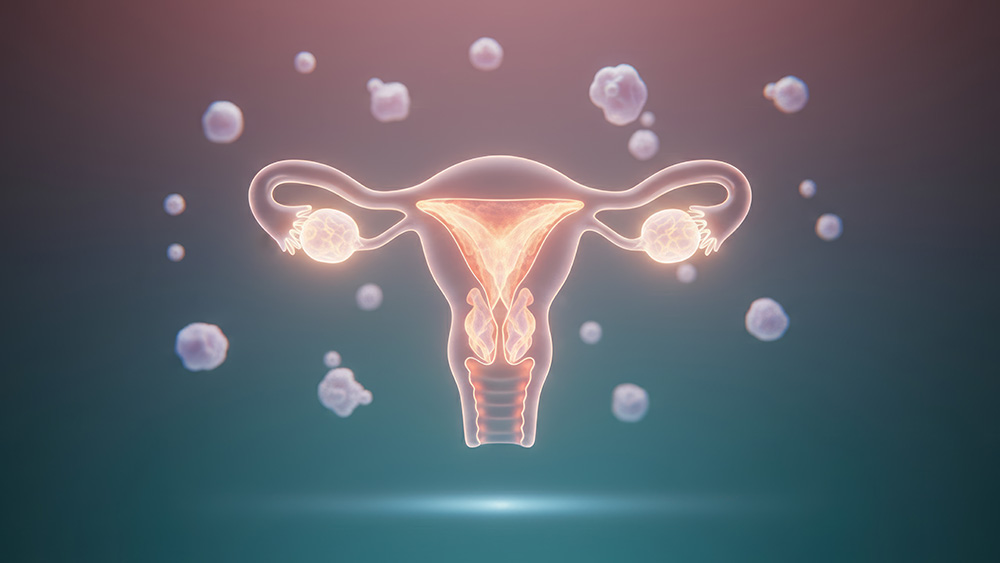 การฝากไข่ (Egg Freezing)